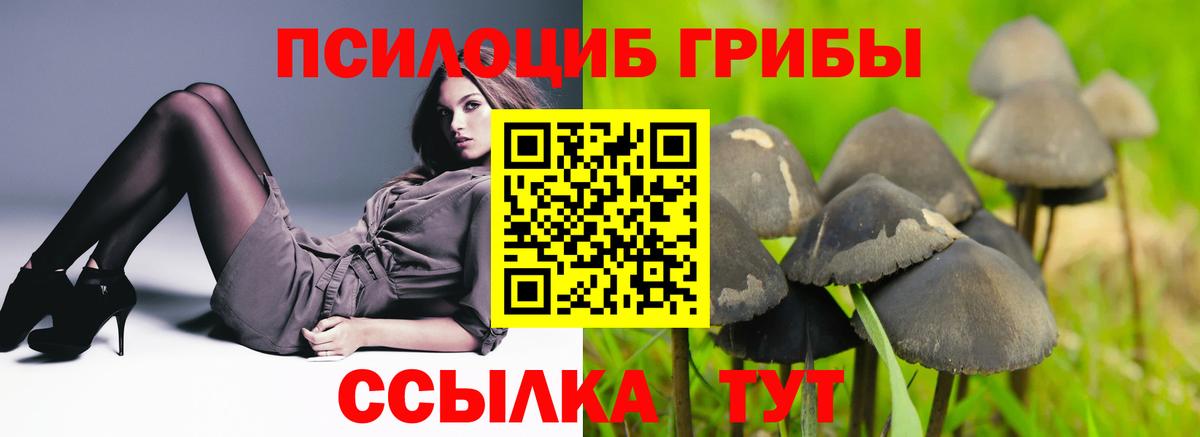 Псилоцибиновые грибы мицелий  как найти наркотики  Гай  Вход с VPN 